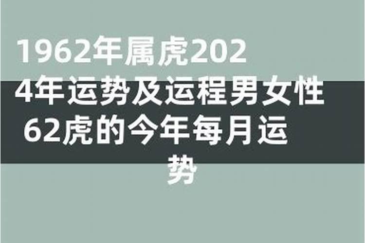 2023年出生的属马人运势运程详解