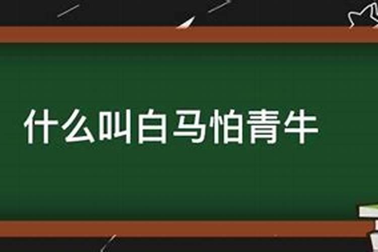 2023啥时候立秋几点