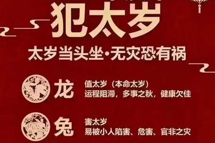 本命年猪男怎么改变财运运势