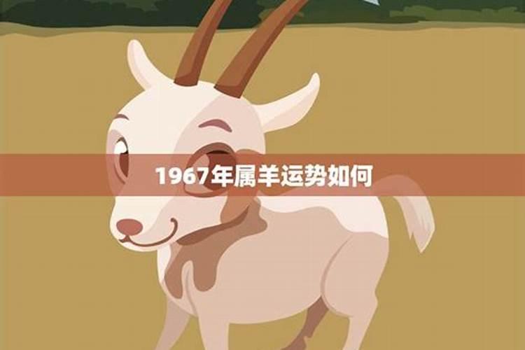 1967年的羊今年运势