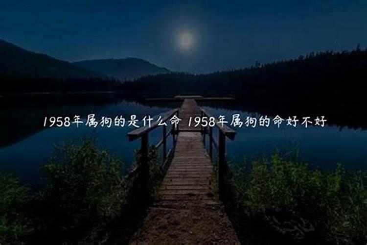 82年九月份的命运好不好