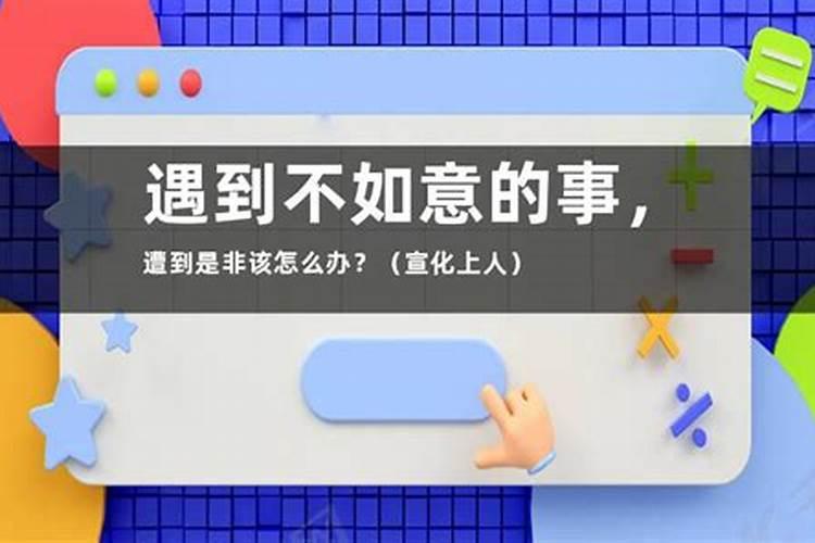 十二生肖属虎人运程2024年运势查询