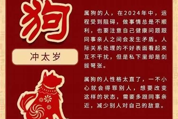 属狗的今年犯太岁是什么意思啊