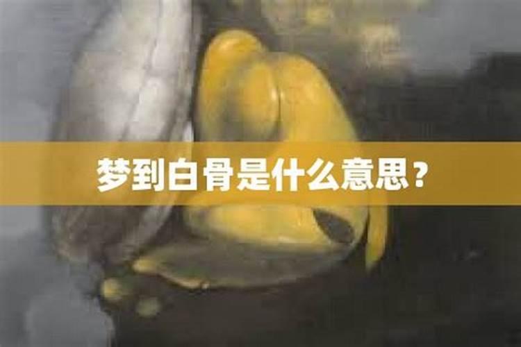 梦见一堆白骨代表什么寓意