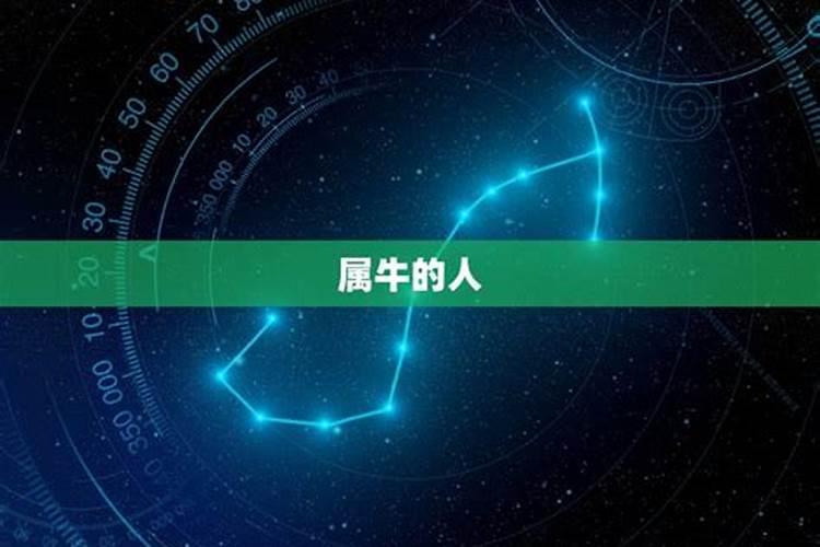 牛的克星是哪个生肖呢