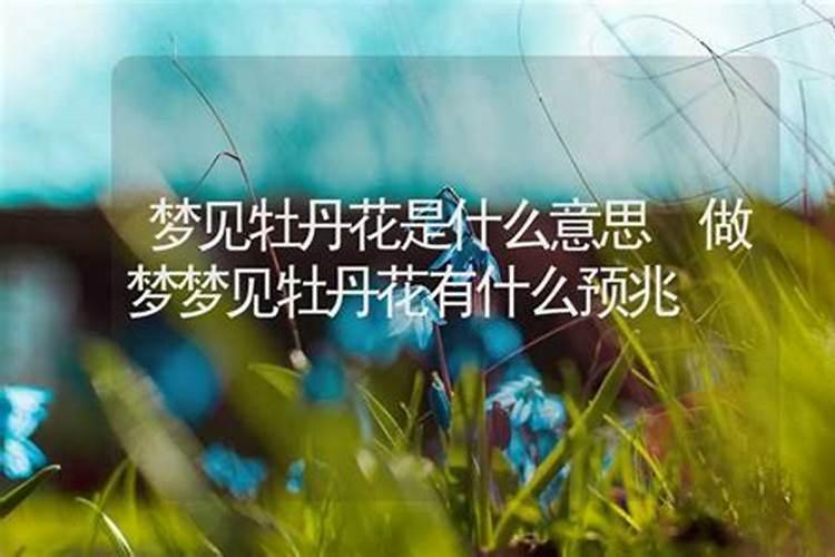 梦见很多鲜花是什么意思