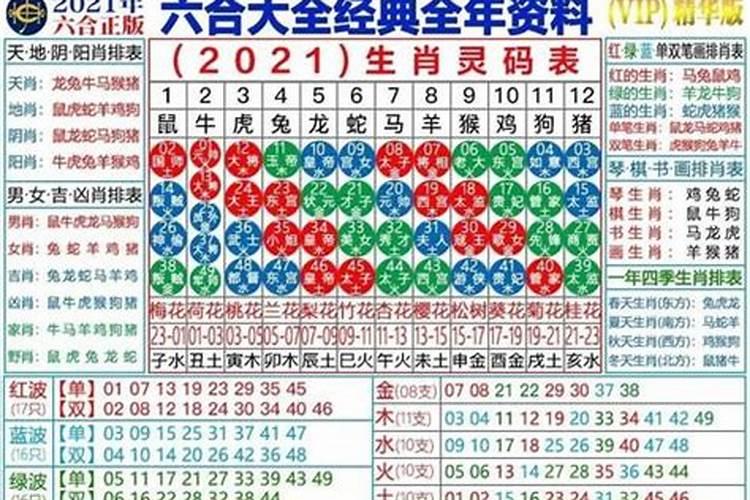 2022年12生肖买马最准的网站