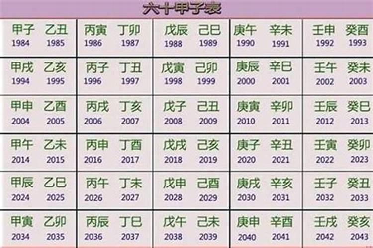 2023年的猪宝宝是什么命，命里缺什么