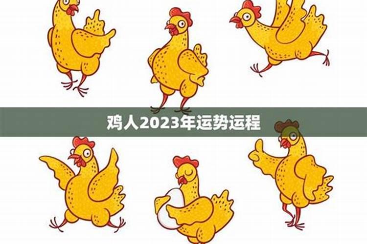 鸡在牛年运势2023运势