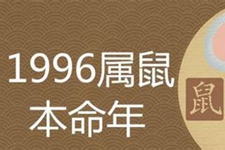 1999年属什么生肖年