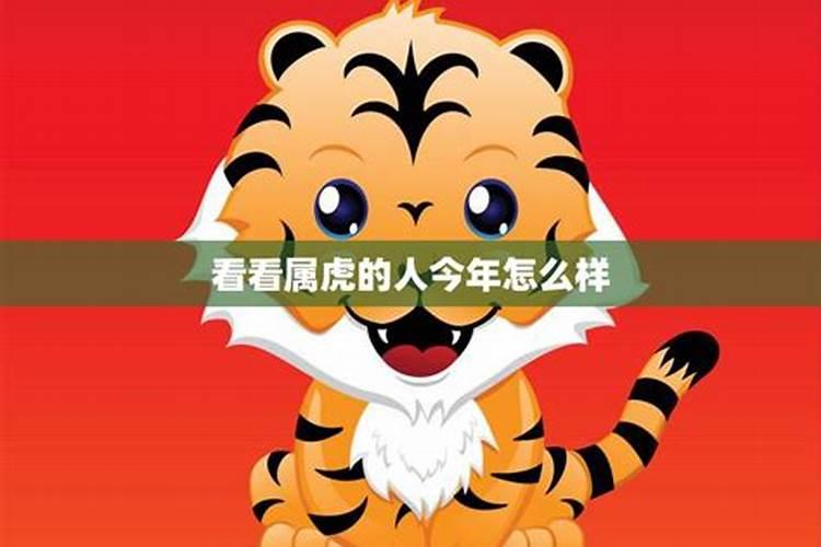 属虎今年运势2022年运势属虎