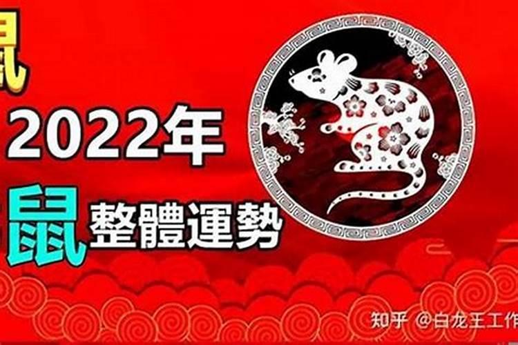 属鼠的人2023年的运势及运程每月