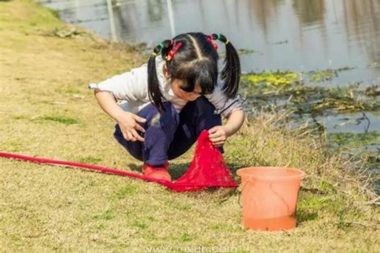 梦见钓了好多虾是什么意思啊周公解梦女人