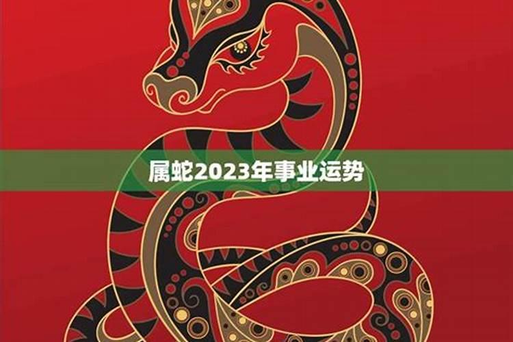 77年腊月属蛇2023年运势及运程如何