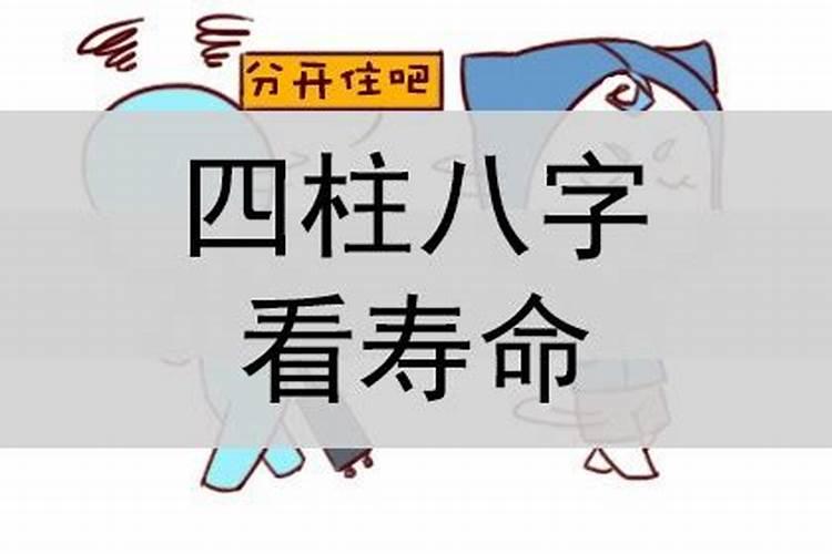 四柱八字看寿元怎么看