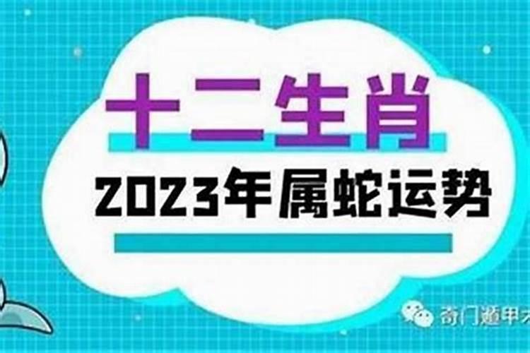 属蛇人2023年8月份运势女