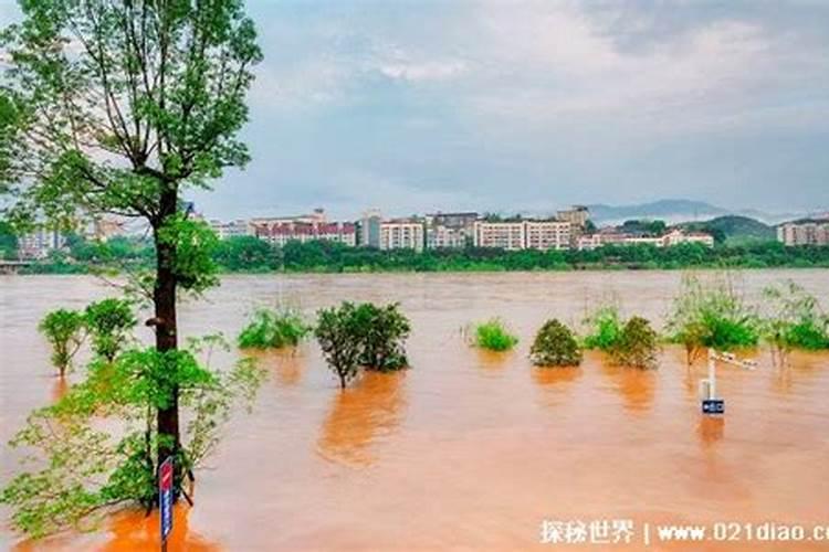 梦见涨洪水但没危险