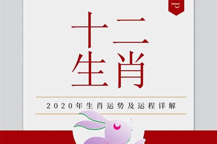 属兔人202012月运势