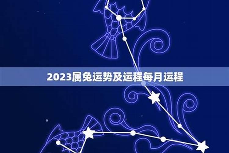 属兔12月运势2020