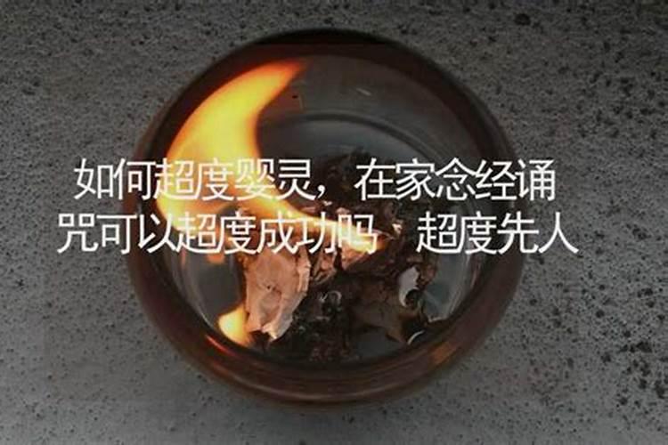 鸡在2022年的每月运势如何呢