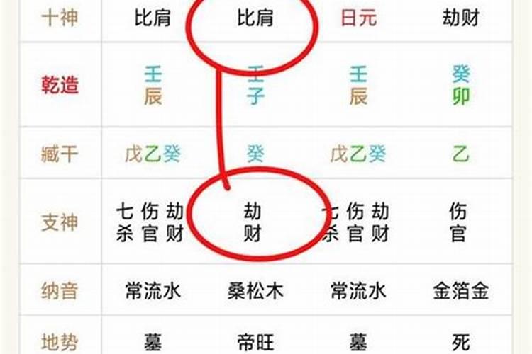 八字时柱比肩是什么意思