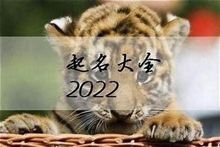 2022年属虎的宝宝小名