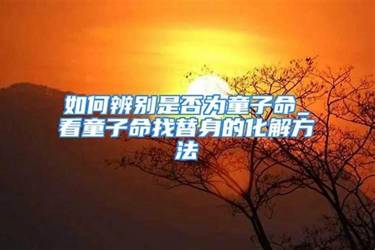 梦见黄牛在追我