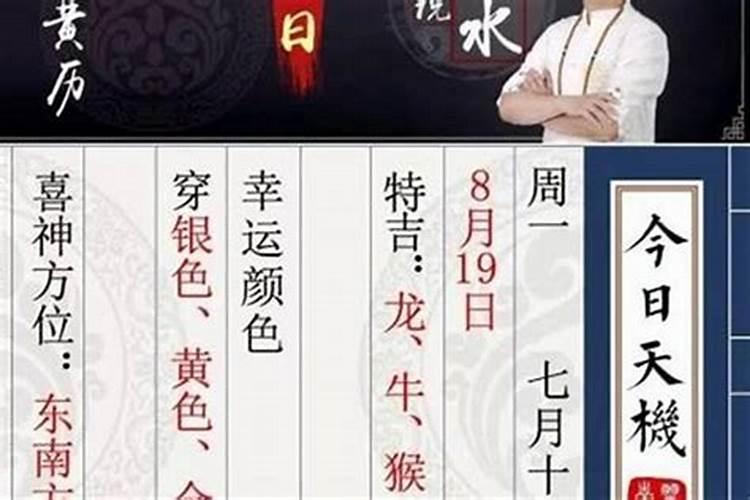 梦见仇人想惹我