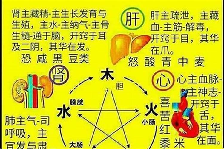 木五行的公司名字