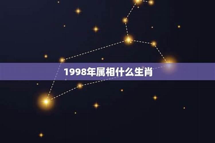 1998属什么