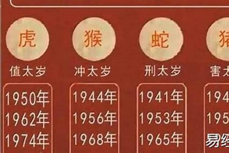 2024年哪个生肖运势好