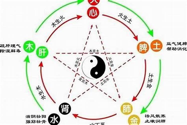 算卦属于五行什么行业