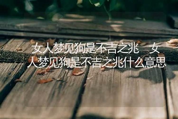 梦见狗狗是什么意思