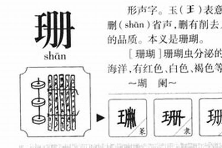 五行珊字属什么及解释