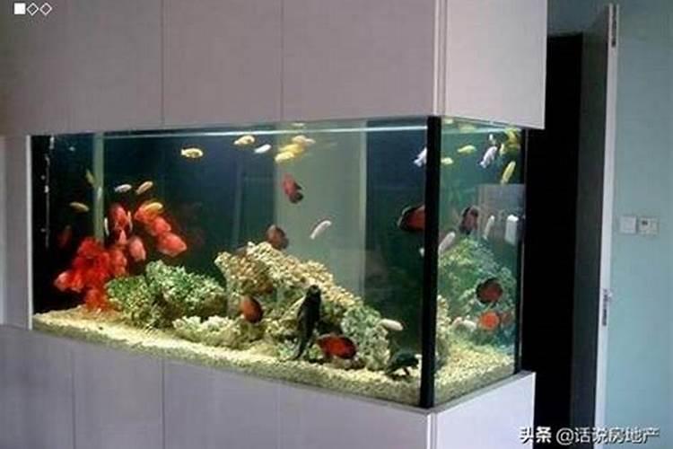 家中养鱼风水禁忌