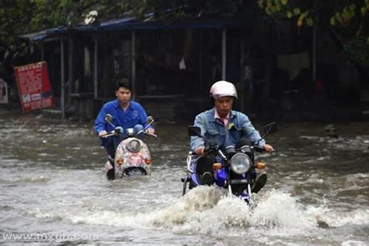 梦见下大雨成河了