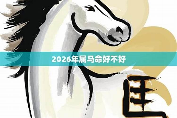 2022年属马的运气好不好呀