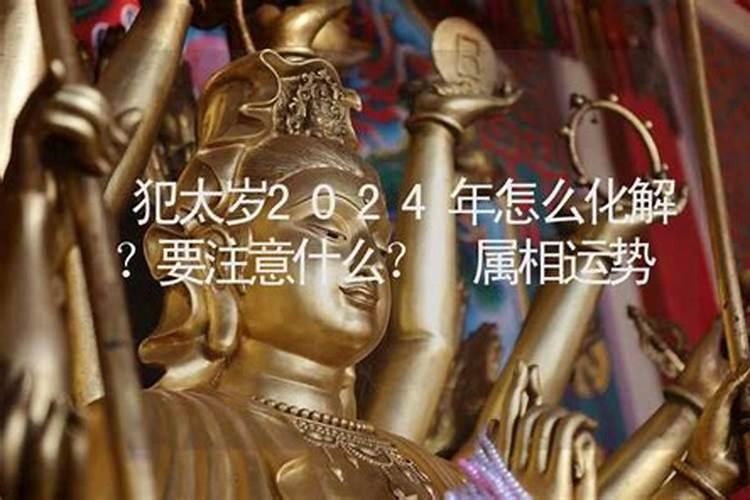 江阴清明祭扫