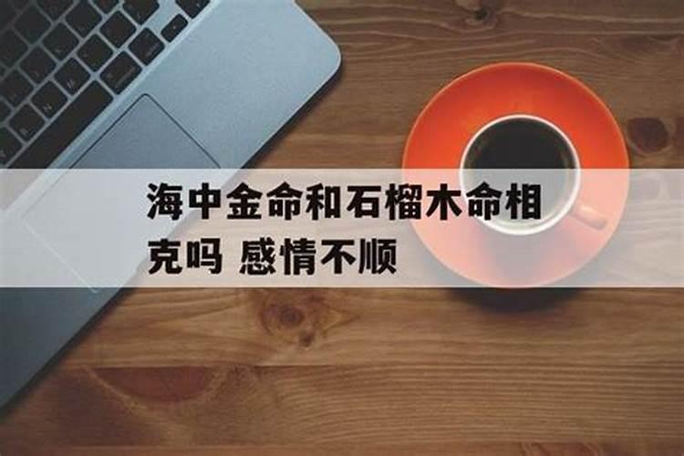 海中金命跟石榴木命婚姻相配吗