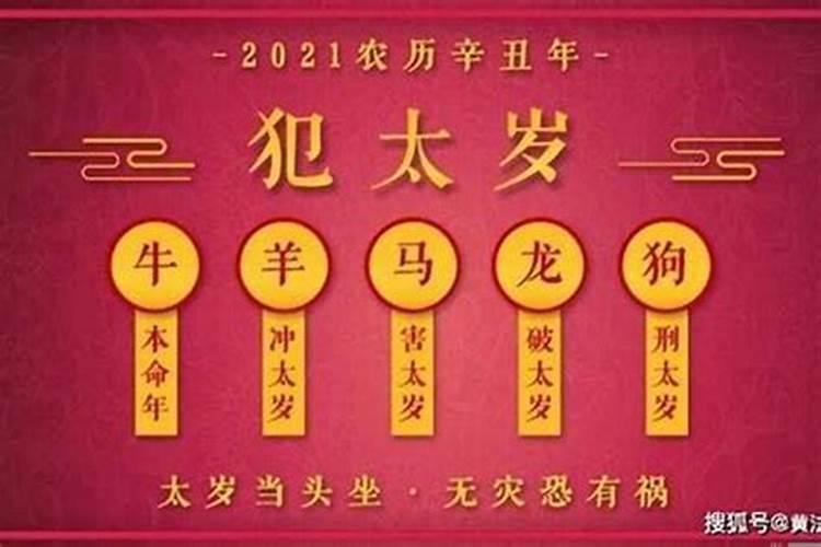 2023年数什么的犯太岁