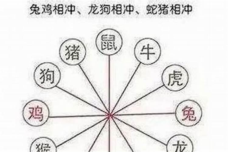 属鼠相克的属相是什么生肖