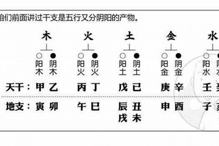 1994年属狗女人一生婚姻