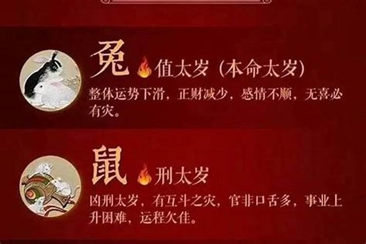 属龙和属马的相配吗