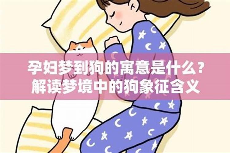 孕妇发梦见狗