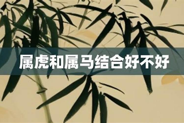 属虎和属马的合适吗