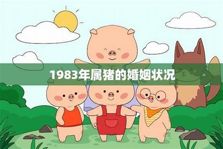 1983年的猪和1983年的猪相配吗