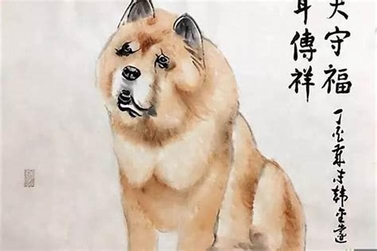 属狗几月犯