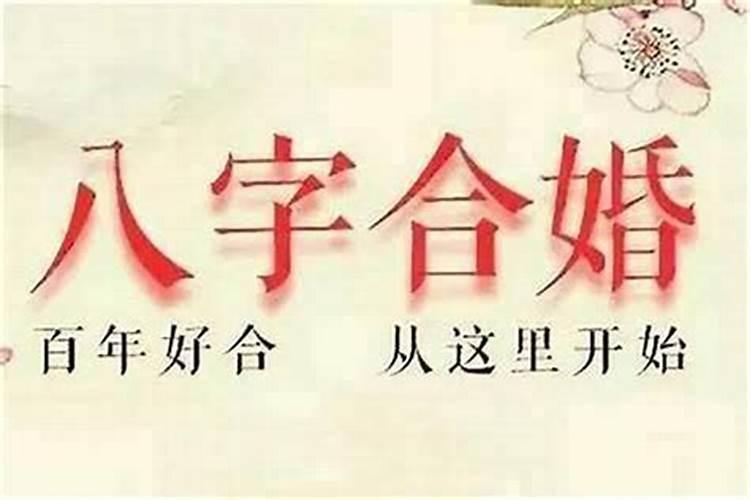 怎么看属相合不合婚