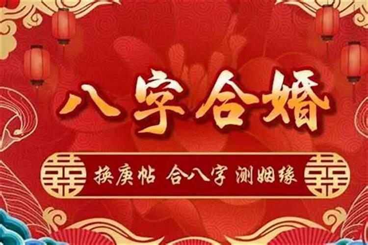 怎么看属相合不合婚