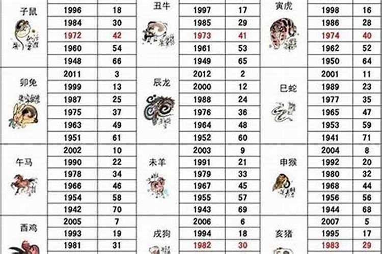 2021年属什么生肖属相冲